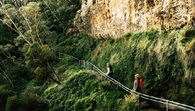 🌿 藍山深度徒步指南：探索世界遺產的呼吸與脈動