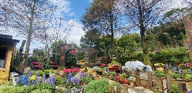 苗栗卓也小屋預訂攻略｜3個選品亮點+免費入園貼士！超抵玩✨