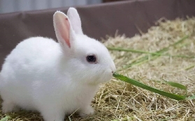 宜農牧場實測｜30年老牌CP值爆高！雨天也能玩的親子秘境🌱