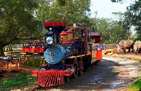 臺北往返六福村/小人國包車實測！親子黨必看避坑指南✨