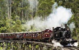 墨爾本近郊必玩！百年蒸汽火車+童話森林實測｜3個避坑指南✨
