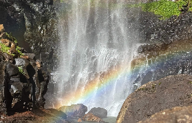 春溪雨林一日遊實測｜野生無尾熊+6瀑布超讚體驗分享🤩