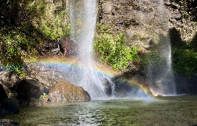 春溪雨林一日遊｜3大避坑總結+實用規劃指南📝