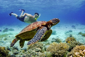 宿霧南部2日遊夯爆！鯨鯊同遊+溪降超讚｜實玩後不藏私分享🤩