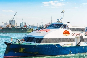 菲律賓薄荷島一日遊實測｜3大避坑點+隱藏體驗✨