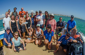 西澳寧格魯潛水實測｜預訂前必睇！鯨鯊見面會超抵玩✨