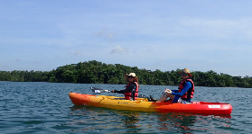 新加坡烏敏島獨木舟｜預訂前必睇！5大考量唔好踩坑✨