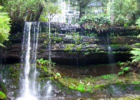 塔斯馬尼亞一日遊實測✨羅素瀑布+惡魔近距離！避坑指南看這裏