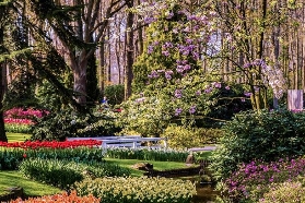 阿姆斯特丹賞花｜庫肯霍夫5個真實體驗細節！避坑指南看這篇🌷