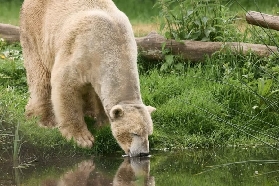 荷蘭呂伐登水族動物園｜親子遊必去！隱藏玩法+避坑全攻略✨