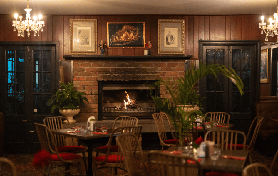 黃金海岸夜螢火蟲之旅｜4個實測亮點+避坑指南超實用！