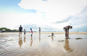 新加坡樟宜海灘潮間帶探索｜避坑指南+體驗總結📝