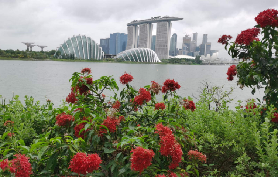 新加坡濱海灣超推行程！花穹+金沙+海鮮餐實測📝避坑懶人包