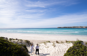 澳洲哥芬灣生蠔之旅實測｜3大必試亮點+預訂避坑指南✨