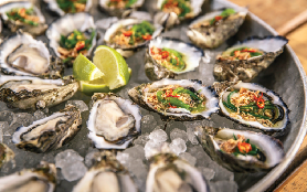 澳洲哥芬灣生蠔之旅｜超讚沉浸體驗！從林肯港出發的海鮮盛宴🦪