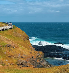 南半球限定奇蹟：在菲利普島，守候33公分小藍企鵝的星光歸家路