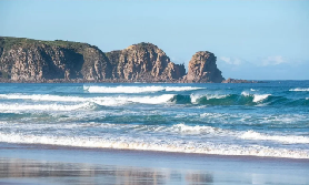墨爾本近郊精華一日遊：菲利普島企鵝歸巢全攻略