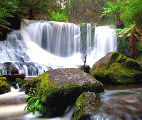 霍巴特一日遊實測｜費爾德山+皇家植物園避坑指南✨