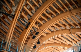 南投半山夢工廠實測｜世界最大室內生命樹超震撼！3個避坑技巧記好