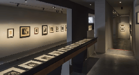 比利時藝術迷必衝！安特衛普隱藏寶藏博物館實測🤯