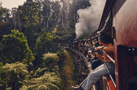 墨爾本必玩一日遊｜彩虹小屋+蒸汽火車+企鵝歸巢 超讚體驗分享📸