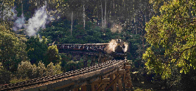 墨爾本一日遊實測｜彩虹小屋+蒸汽火車+企鵝歸巢 避坑指南看這裏✨