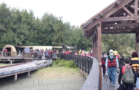 臺南七股龍亨觀光｜預訂前必看！3大選品亮點+避坑指南📝