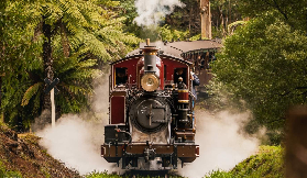 墨爾本丹頓農山火車遊實測｜3個預訂前必睇嘅避坑點✨