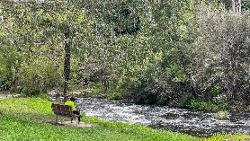 普芬比利蒸汽火車一日遊｜臺灣人親測超讚的森林+酒莊路線💚