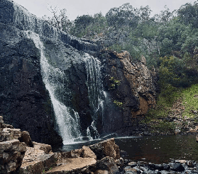 墨爾本到格蘭坪國家公園一日遊｜遊玩總結+避坑指南，別踩這些雷！🌿