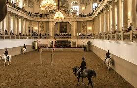 維也納西班牙騎術學校｜一生必試的皇家馬術體驗！預訂+避坑全攻略✨