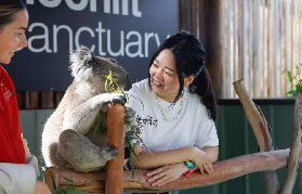 墨爾本私人一日遊超讚！臺灣人實測隱藏版景點攻略