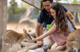 悉尼藍山私人一日遊實測｜3個避坑點+超抵玩體驗✨