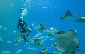 屏東海生館夜宿避坑指南｜5個必看提醒別踩雷！✨