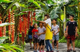 南投集元果｜農場DIY+山蕉餐超抵玩！預訂必睇避坑✨