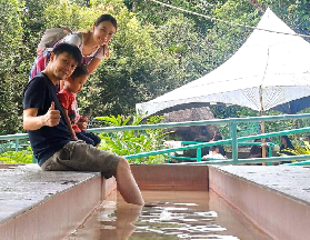 沙巴神山+波令溫泉之旅｜實測避坑總結｜Desa牧場超讚🥛