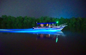 馬來西亞螢火蟲+藍眼淚之旅｜預訂前必看3個避坑點✨