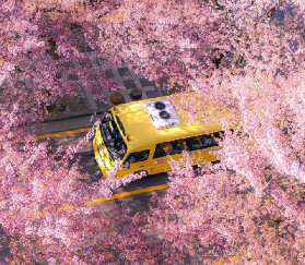 🌸2026韓國賞櫻｜按城市分！景點特色一鍵get