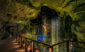 檳城蟲鳴大地蝴蝶公園避坑指南｜3個絕對不能犯的錯誤！