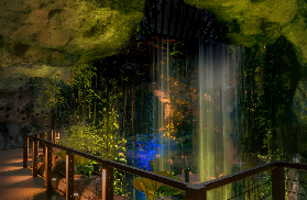 檳城蟲鳴大地蝴蝶公園實測｜15000只蝴蝶圍住你？超仙！