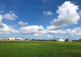 嘉義向禾漁場實測｜親子玩水釣魚超讚！文蛤還能帶回家✨