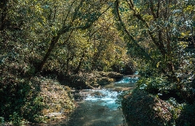 新竹豪華露營預訂前必睇！飛鳥恰恰3大選品坑我踩過✨