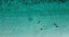 普吉跳島實測｜皮皮島+瑪雅灣一日遊！避坑3個預訂細節✨