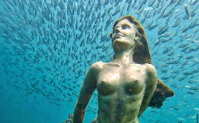 西澳隱藏版體驗！0經驗也能潛水看美人魚+300種海洋生物✨