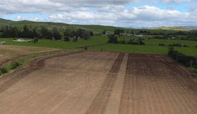 塔斯馬尼亞威士忌攻略｜勞倫尼3款夯酒實測！從田間到瓶裝超有感✨