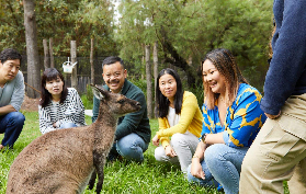 墨爾本亞拉河谷一日遊｜私人團超抵！避坑指南實測✨