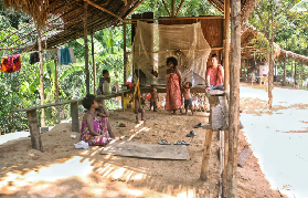 吉隆坡大漢山一日遊超讚｜跟團實測！雨林探險+原住民體驗全攻略🌿