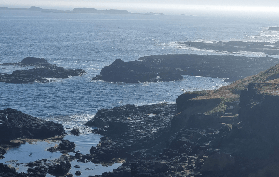 菲利普島私人團｜客製化行程太讚了吧🤩