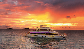 亞庇遊船晚餐實測｜避坑3要點！靠窗位值唔值？✨