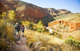 西麥唐奈山脈一日遊超完整攻略！原住民文化+自然奇景一次收